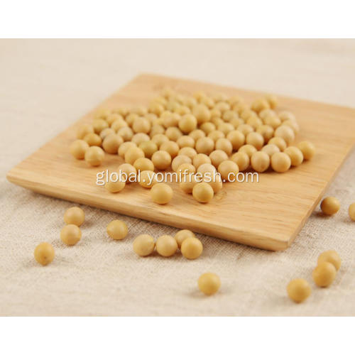 China Soybean 5Kg Manufactory